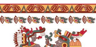 vector illustration sketch drawing aztec pattern cacao tree, mayans, cacao beans and decorative borders yellow, red, green, brown, grey colors on white background