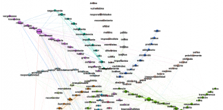 Word map showing frequency of Spanish words in tweets