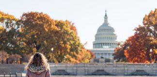 Young woman in coat sitting looking at view of United States Congress Capitol building, golden orange yellow foliage autumn fall trees on street during sunny day in Washington DC